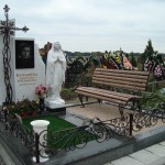 автор Терехов Егор 13